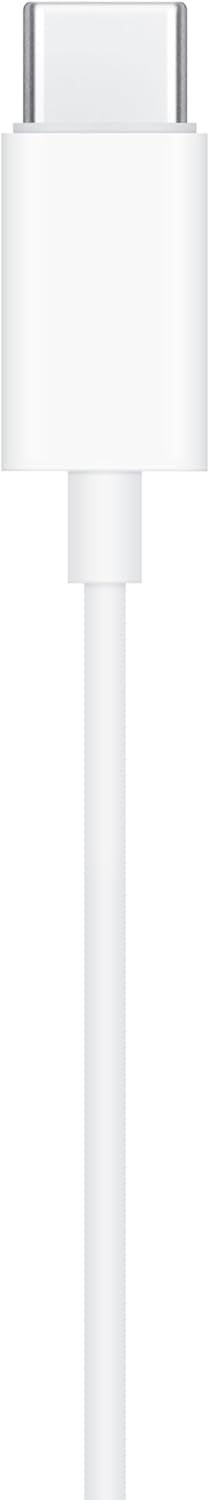 Comfortable USB-C Earbuds